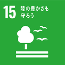 sdg