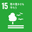 sdg
